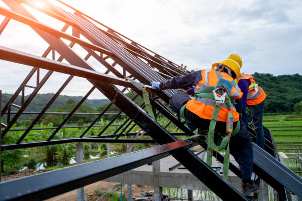 Best Storm Damage Roof Repair  in Mount Hore, WI