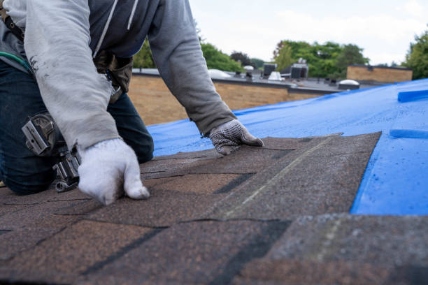 Best New Roof Installation  in Mount Hore, WI