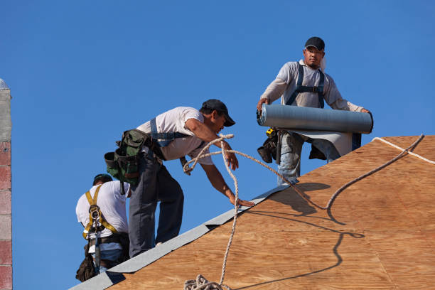 Best Shingle Roofing Installation  in Mount Hore, WI