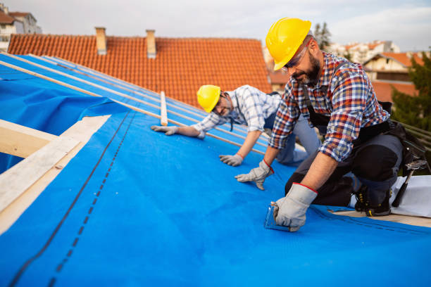 Best Roof Gutter Cleaning  in Mount Hore, WI